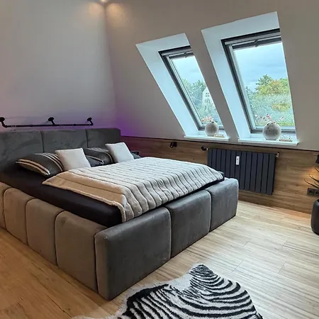 Modernes Panorama Im Zentrum Von Apartment Plauen